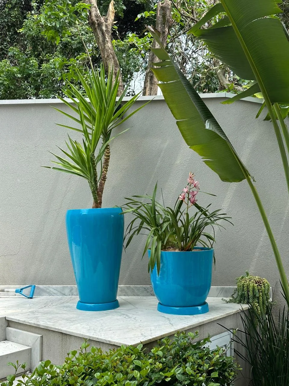 Dois vasos azuis com plantas em jardim