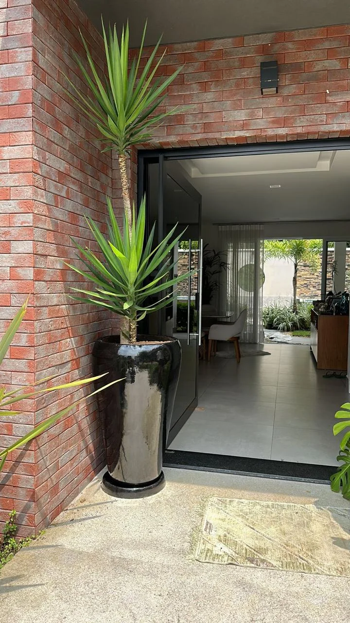 Vaso preto alto com planta ao lado de entrada residencial