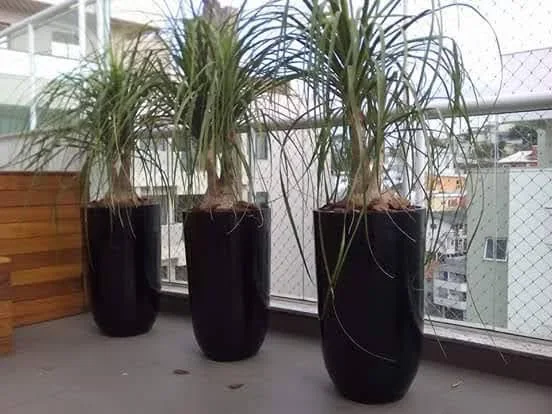 Três vasos pretos altos em varanda
