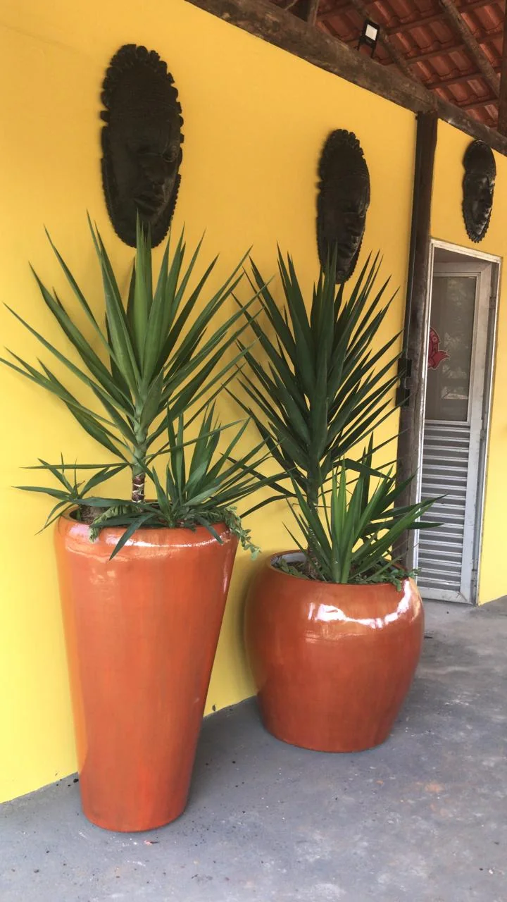 Dois vasos em tom terracota com plantas