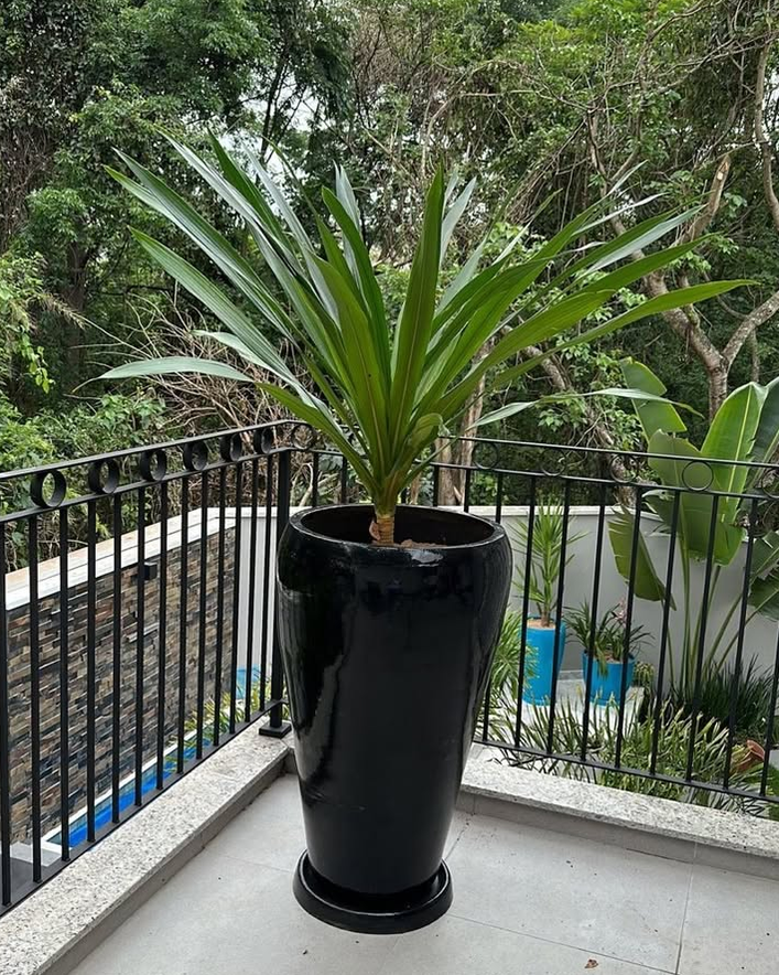 Vaso decorativo escuro com planta em varanda